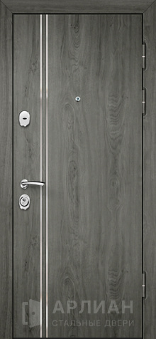 Фото «Наружная дверь с покрытием графит матовый №505»