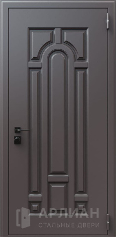 Фото «Элитная дверь с отделкой под натуральное дерево №648»